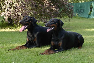 Sigourney und Sancho, Juli 2003